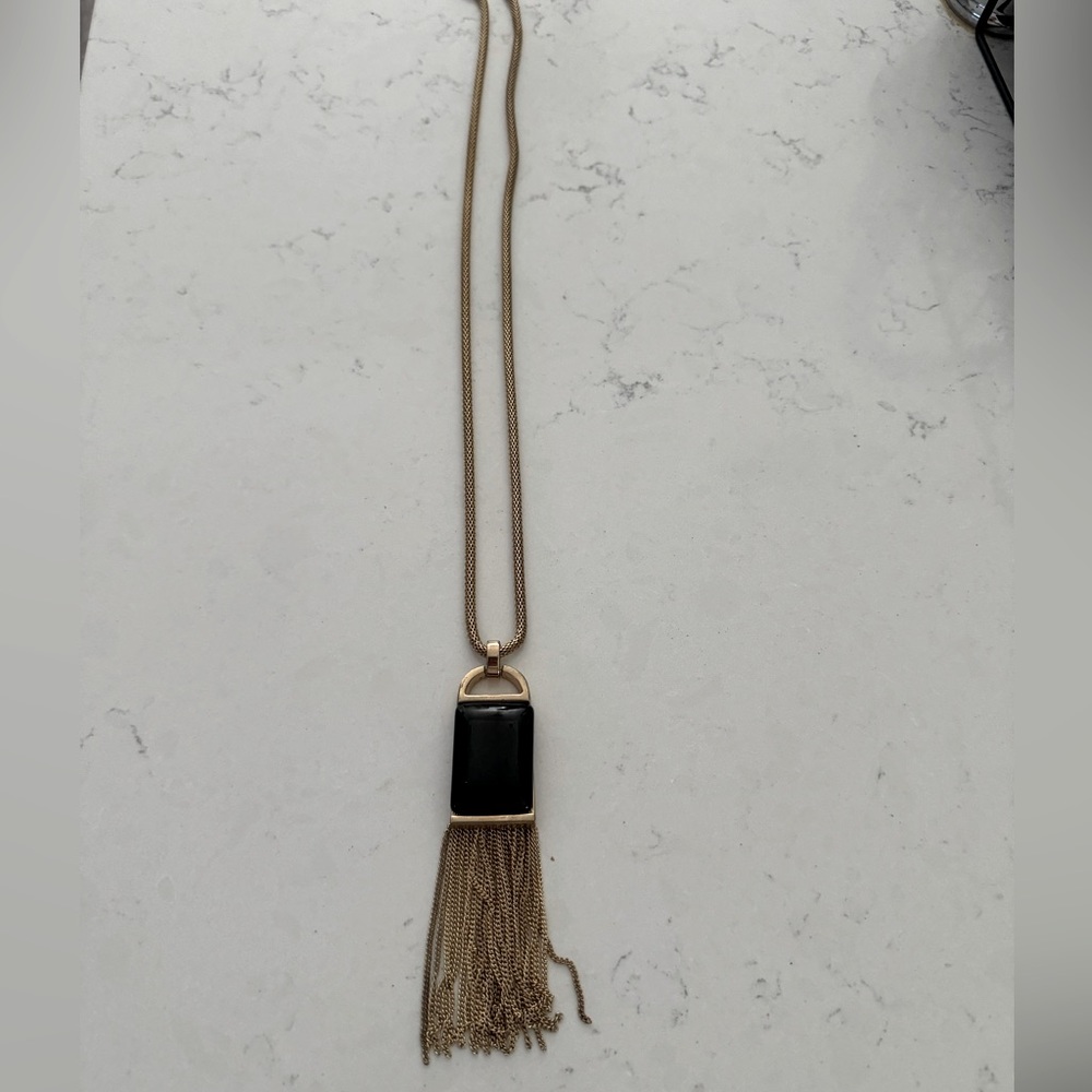 Charming Charlie Necklace